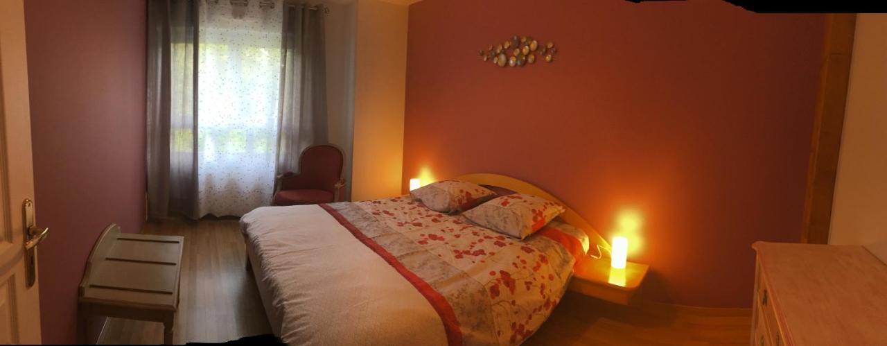 Le Panorama Apartment Kaysersberg-Vignoble Bagian luar foto
