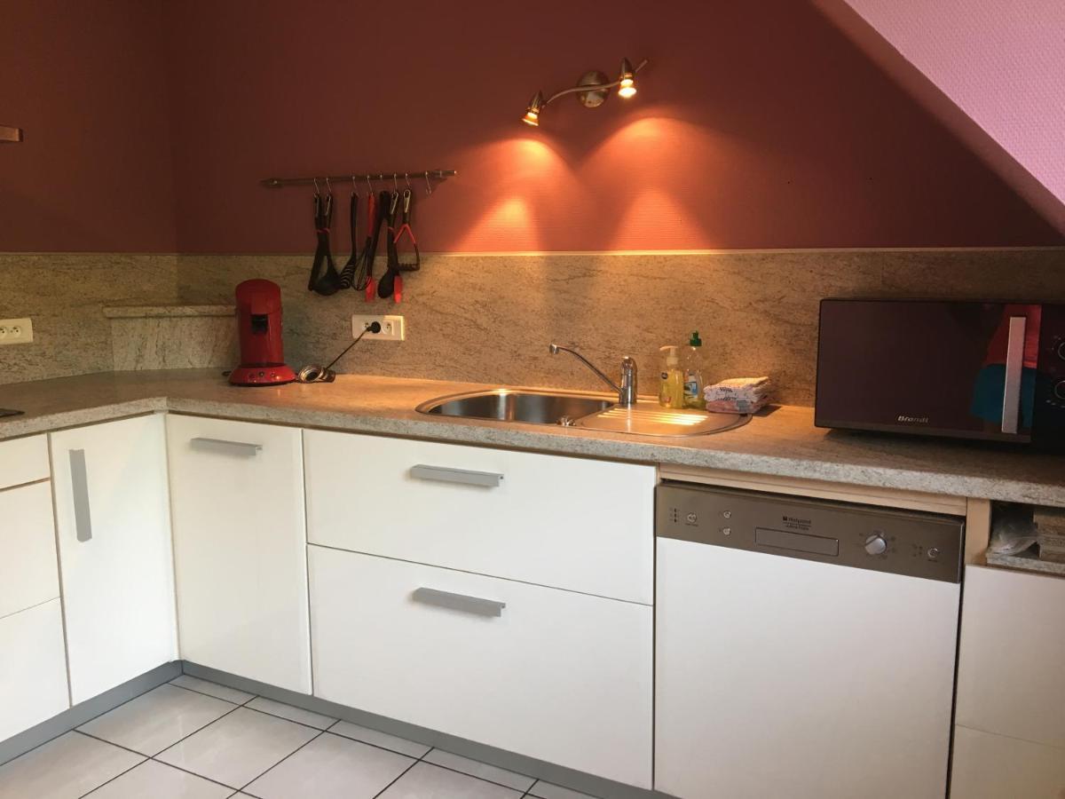 Le Panorama Apartment Kaysersberg-Vignoble Bagian luar foto