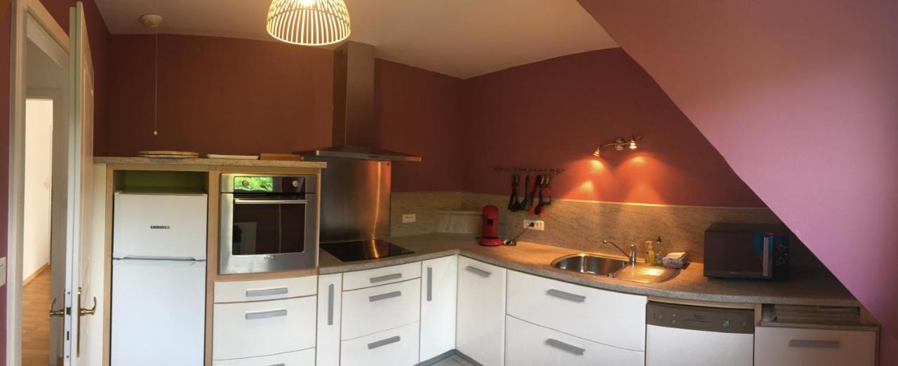 Le Panorama Apartment Kaysersberg-Vignoble Bagian luar foto