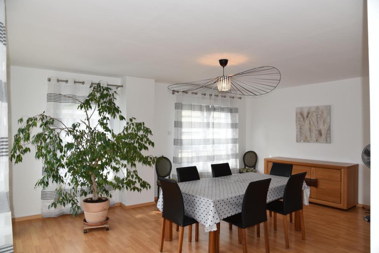 Le Panorama Apartment Kaysersberg-Vignoble Bagian luar foto