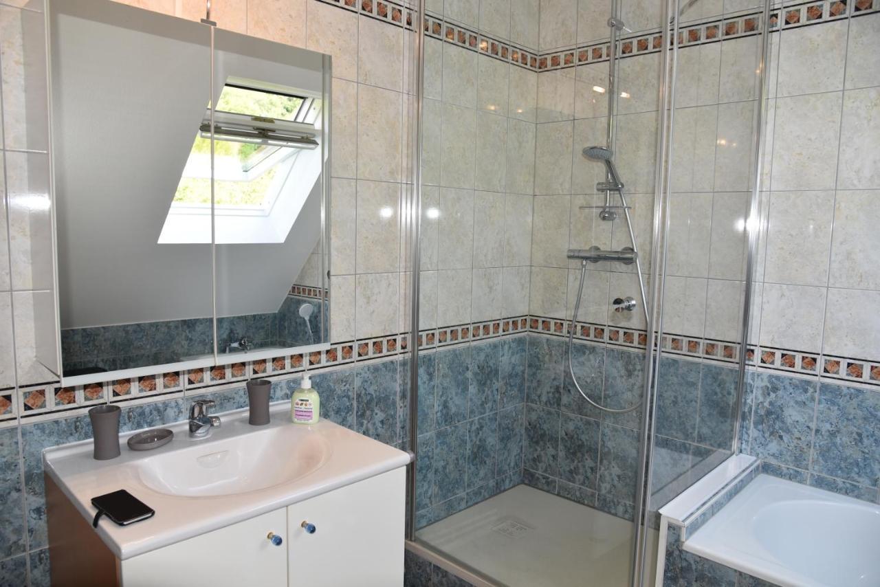 Le Panorama Apartment Kaysersberg-Vignoble Bagian luar foto