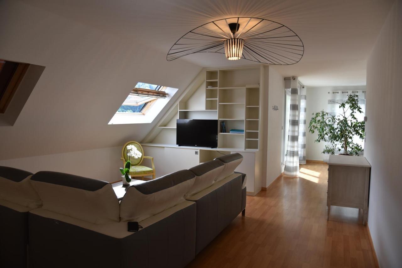 Le Panorama Apartment Kaysersberg-Vignoble Bagian luar foto