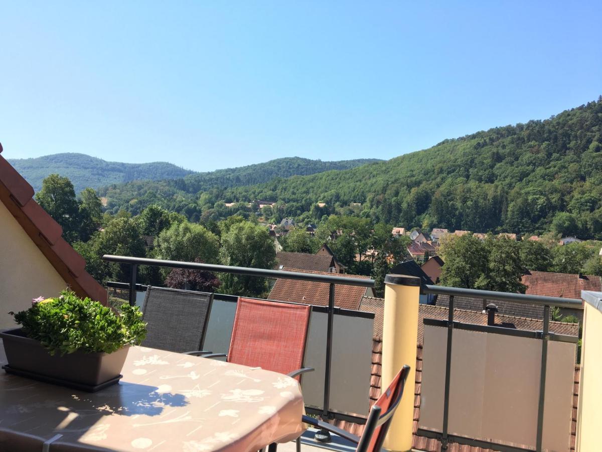 Le Panorama Apartment Kaysersberg-Vignoble Bagian luar foto