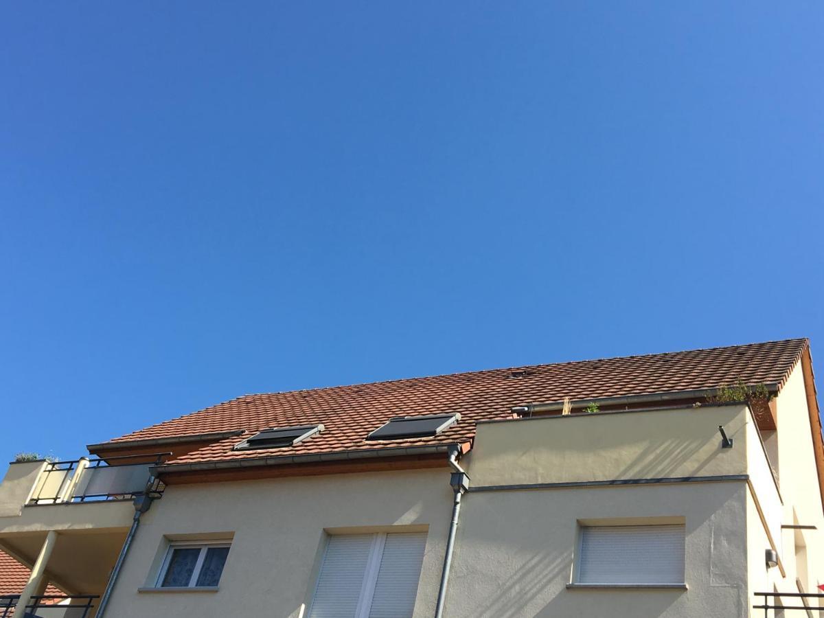 Le Panorama Apartment Kaysersberg-Vignoble Bagian luar foto