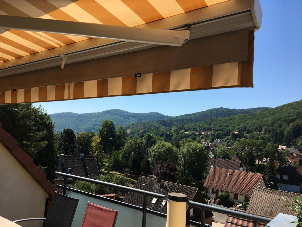 Le Panorama Apartment Kaysersberg-Vignoble Bagian luar foto