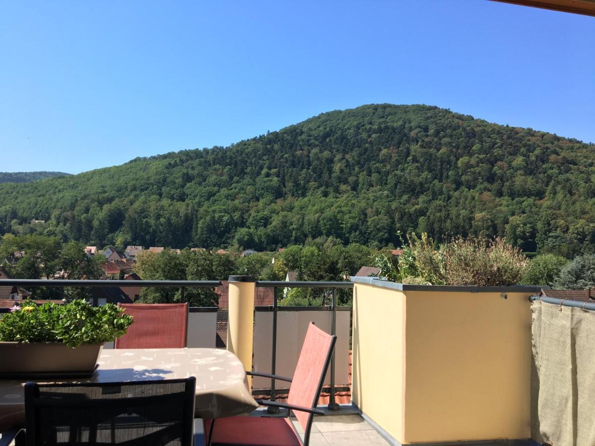 Le Panorama Apartment Kaysersberg-Vignoble Bagian luar foto