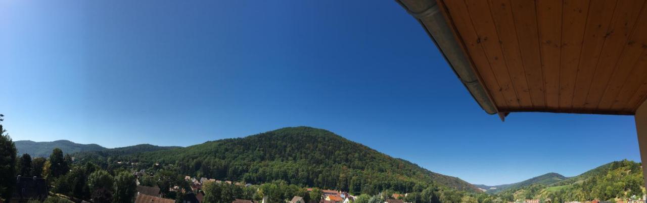 Le Panorama Apartment Kaysersberg-Vignoble Bagian luar foto